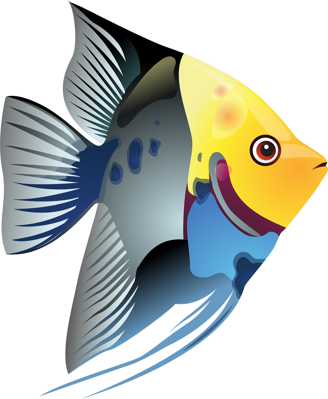 tropical-fish-1332185_1280
